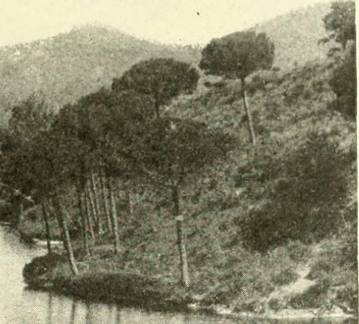 An illustration from Barcelone et les grands sanctuaires catalans, 1913, leaf 82