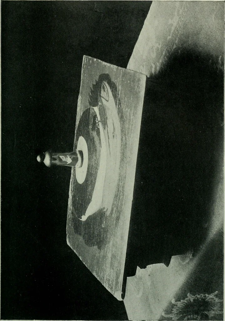 An illustration from The bargain book, 1911, leaf 174
