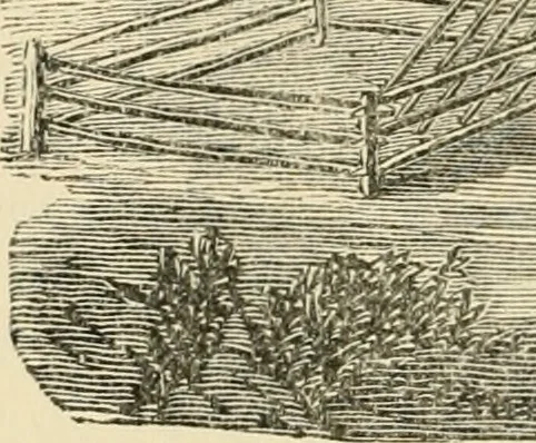 An illustration from Barn plans and outbuildings, 1914, leaf 141