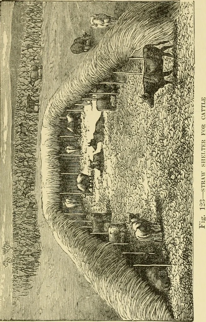An illustration from Barn plans and outbuildings, 1914, leaf 150