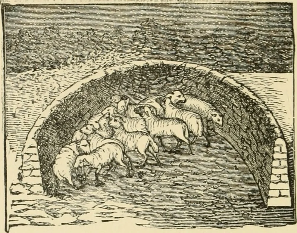 An illustration from Barn plans and outbuildings, 1914, leaf 171
