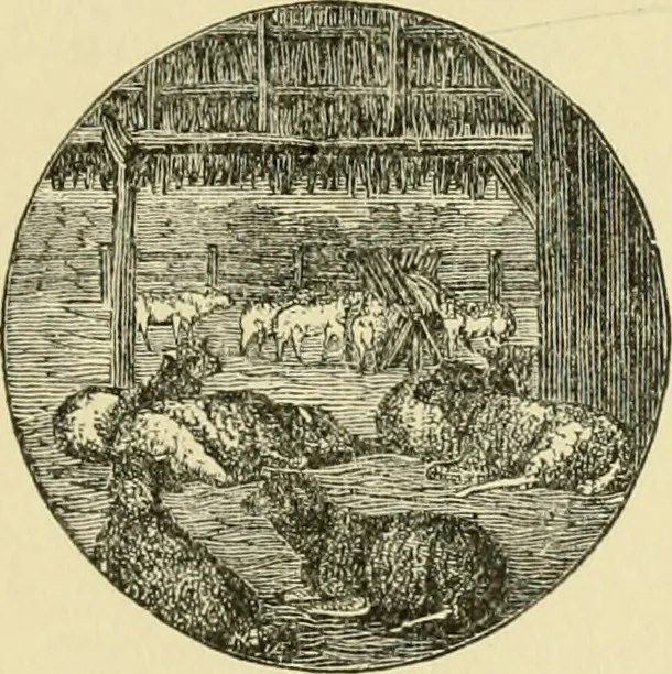 An illustration from Barn plans and outbuildings, 1914, leaf 172