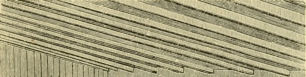 An illustration from Barn plans and outbuildings, 1914, leaf 192