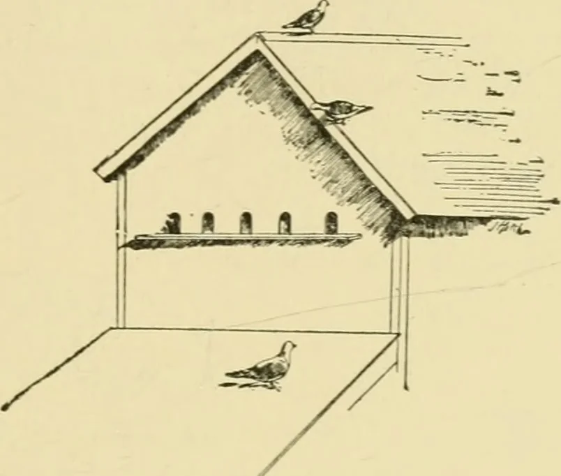 An illustration from Barn plans and outbuildings, 1914, leaf 228