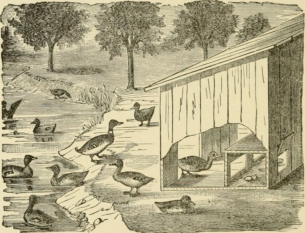 An illustration from Barn plans and outbuildings, 1914, leaf 229