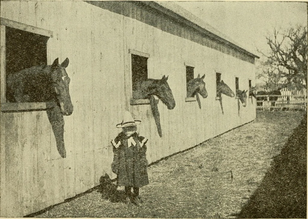 An illustration from Barn plans and outbuildings, 1914, leaf 242