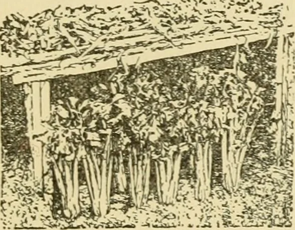 An illustration from Barn plans and outbuildings, 1914, leaf 368