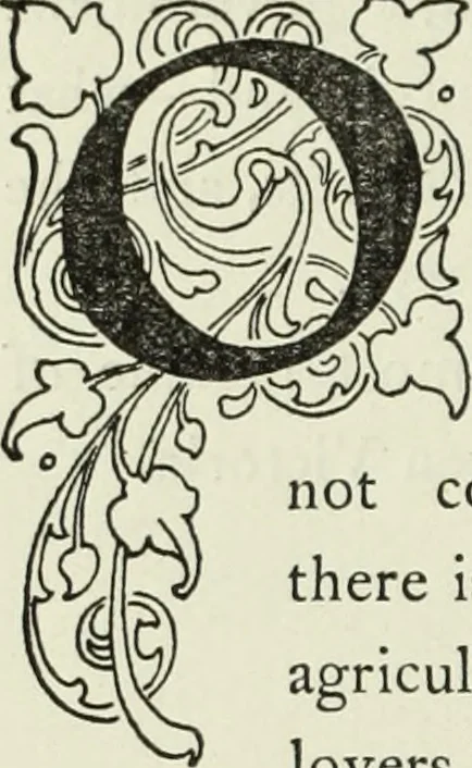An illustration from The baronial and ecclesiastical antiquities of Scotland, 1909, leaf 41