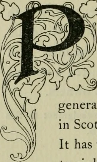 An illustration from The baronial and ecclesiastical antiquities of Scotland, 1909, leaf 103