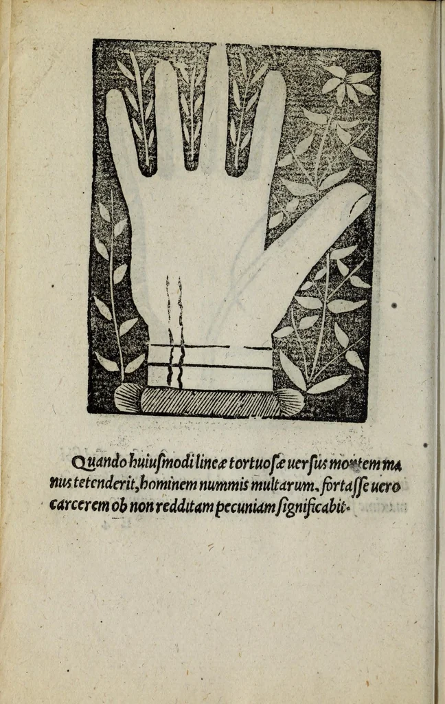 An illustration from Barptolomaei Coclitis bononiensis, naturalis philosophiae ac medicinae doctoris, Physiognomiae & chiromantiae compendium, 1533, leaf 100