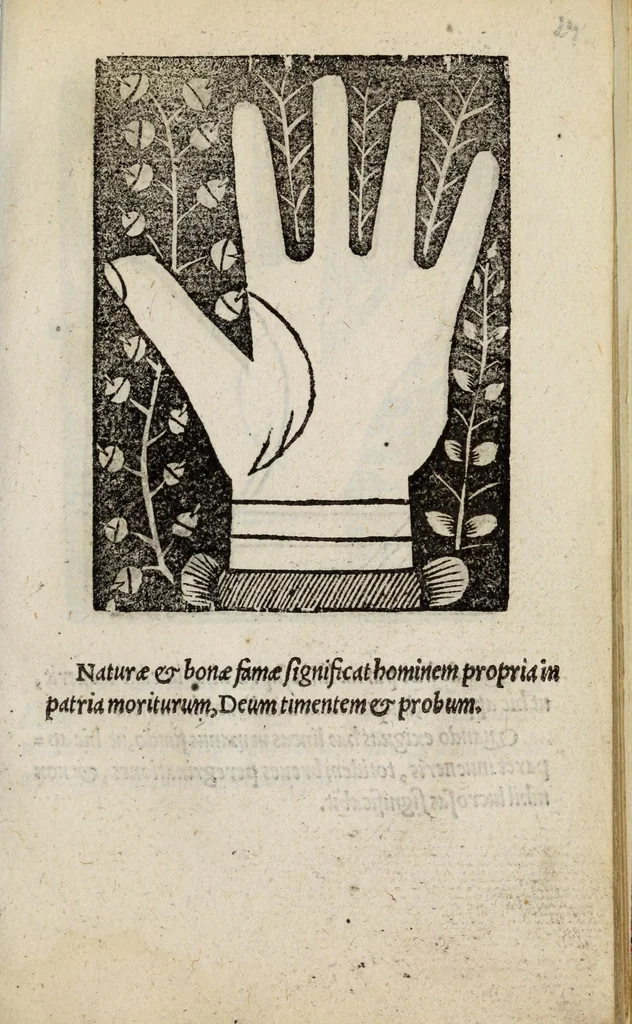 An illustration from Barptolomaei Coclitis bononiensis, naturalis philosophiae ac medicinae doctoris, Physiognomiae & chiromantiae compendium, 1533, leaf 105