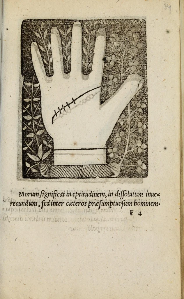 An illustration from Barptolomaei Coclitis bononiensis, naturalis philosophiae ac medicinae doctoris, Physiognomiae & chiromantiae compendium, 1533, leaf 115