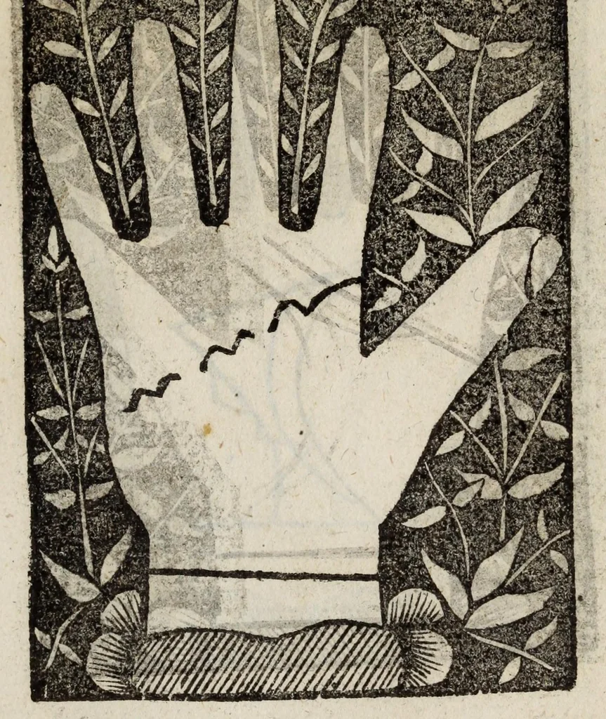 An illustration from Barptolomaei Coclitis bononiensis, naturalis philosophiae ac medicinae doctoris, Physiognomiae & chiromantiae compendium, 1533, leaf 125