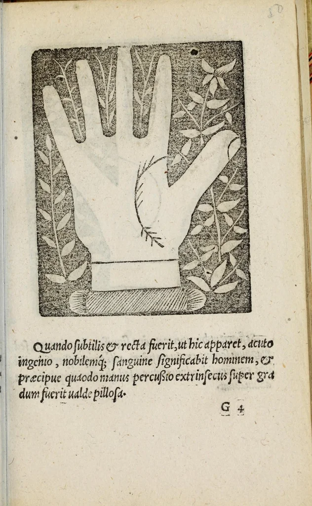 An illustration from Barptolomaei Coclitis bononiensis, naturalis philosophiae ac medicinae doctoris, Physiognomiae & chiromantiae compendium, 1533, leaf 131