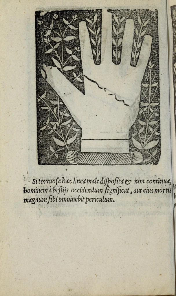 An illustration from Barptolomaei Coclitis bononiensis, naturalis philosophiae ac medicinae doctoris, Physiognomiae & chiromantiae compendium, 1533, leaf 138