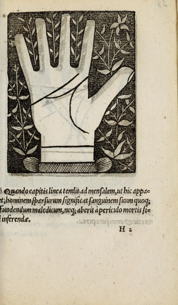 An illustration from Barptolomaei Coclitis bononiensis, naturalis philosophiae ac medicinae doctoris, Physiognomiae & chiromantiae compendium, 1533, leaf 143