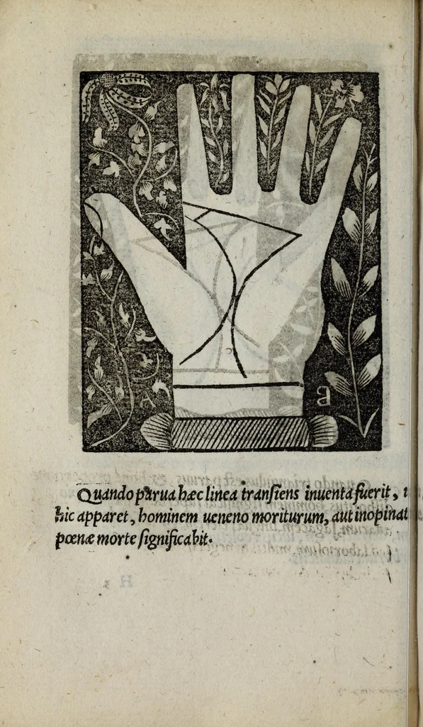 An illustration from Barptolomaei Coclitis bononiensis, naturalis philosophiae ac medicinae doctoris, Physiognomiae & chiromantiae compendium, 1533, leaf 146