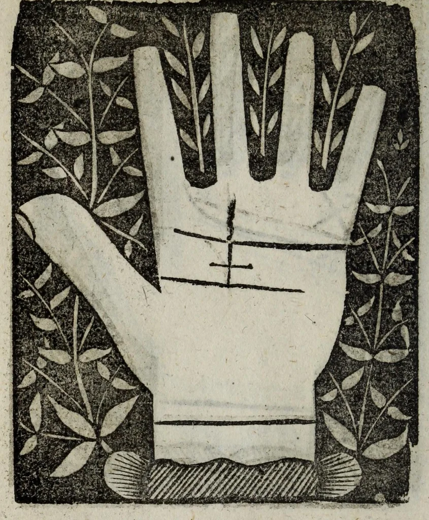 An illustration from Barptolomaei Coclitis bononiensis, naturalis philosophiae ac medicinae doctoris, Physiognomiae & chiromantiae compendium, 1533, leaf 174