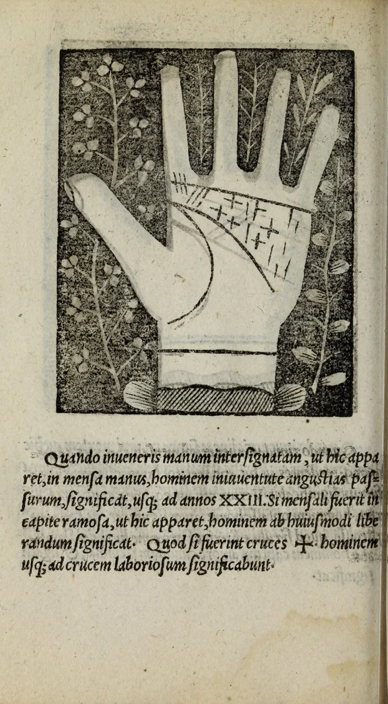 An illustration from Barptolomaei Coclitis bononiensis, naturalis philosophiae ac medicinae doctoris, Physiognomiae & chiromantiae compendium, 1533, leaf 184