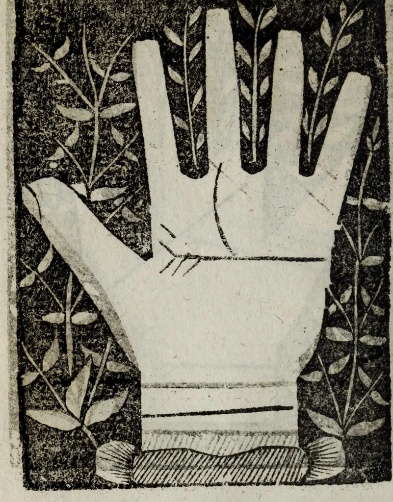 An illustration from Barptolomaei Coclitis bononiensis, naturalis philosophiae ac medicinae doctoris, Physiognomiae & chiromantiae compendium, 1533, leaf 194