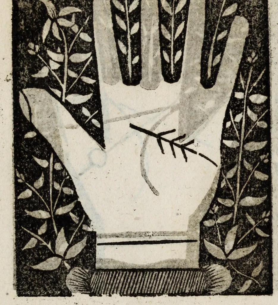 An illustration from Barptolomaei Coclitis bononiensis, naturalis philosophiae ac medicinae doctoris, Physiognomiae & chiromantiae compendium, 1533, leaf 199
