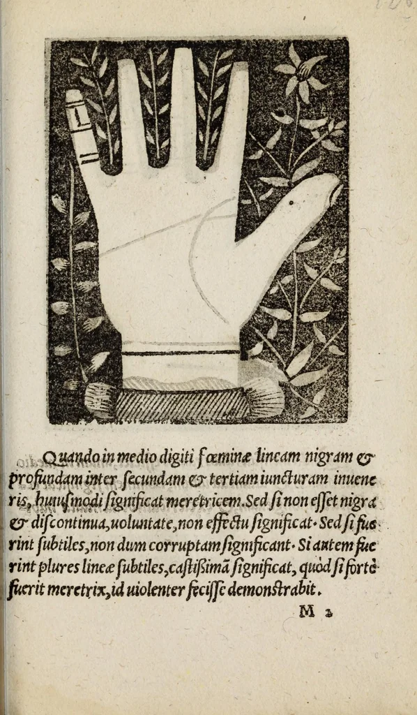 An illustration from Barptolomaei Coclitis bononiensis, naturalis philosophiae ac medicinae doctoris, Physiognomiae & chiromantiae compendium, 1533, leaf 207