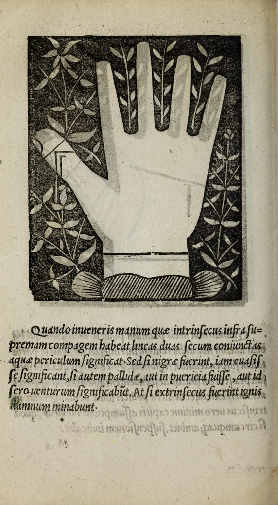 An illustration from Barptolomaei Coclitis bononiensis, naturalis philosophiae ac medicinae doctoris, Physiognomiae & chiromantiae compendium, 1533, leaf 212