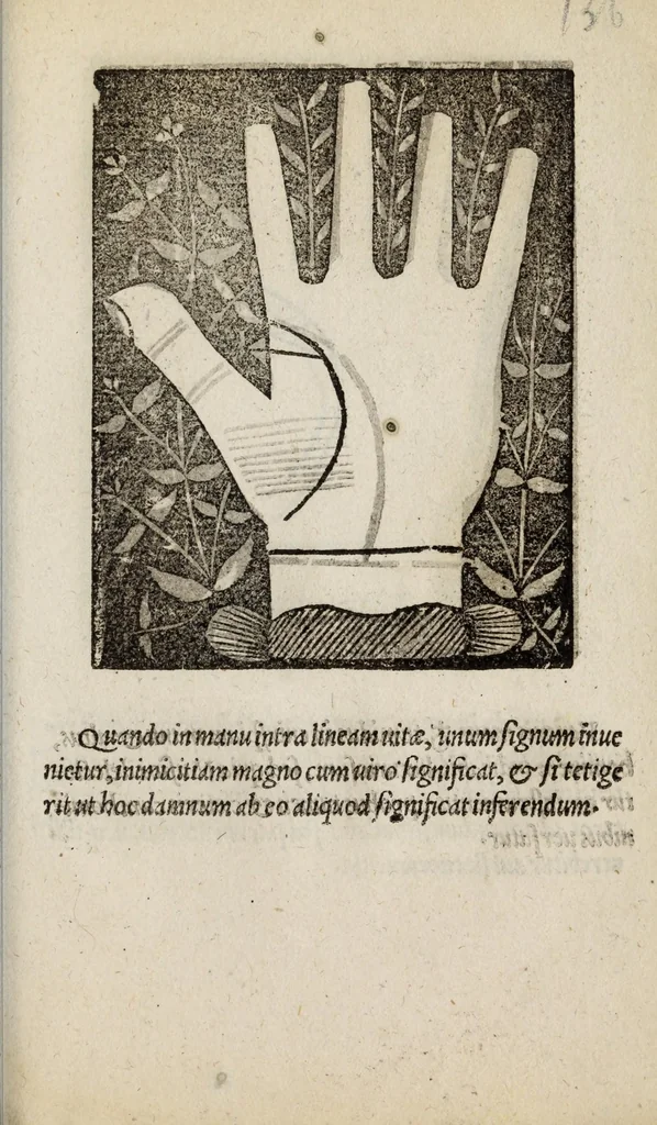 An illustration from Barptolomaei Coclitis bononiensis, naturalis philosophiae ac medicinae doctoris, Physiognomiae & chiromantiae compendium, 1533, leaf 217