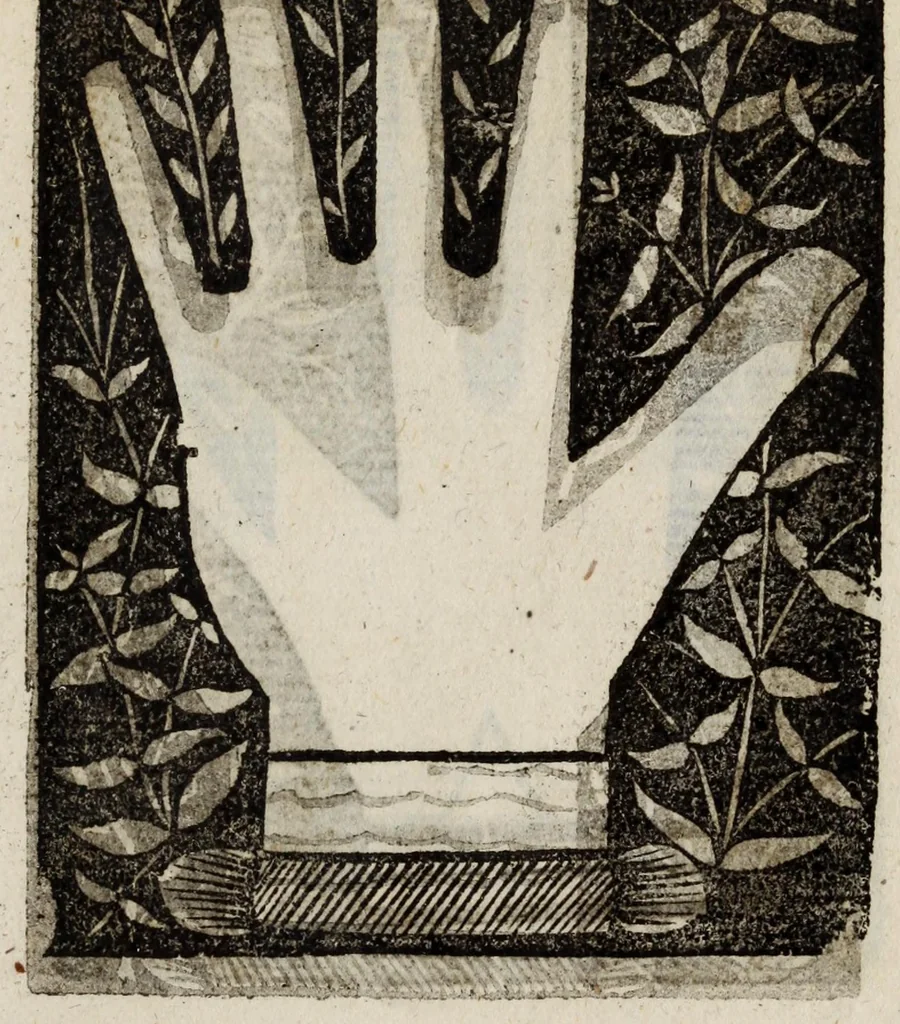 An illustration from Barptolomaei Coclitis bononiensis, naturalis philosophiae ac medicinae doctoris, Physiognomiae & chiromantiae compendium, 1533, leaf 225