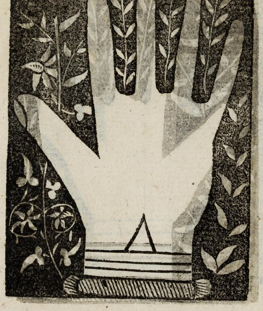 An illustration from Barptolomaei Coclitis bononiensis, naturalis philosophiae ac medicinae doctoris, Physiognomiae & chiromantiae compendium, 1533, leaf 235