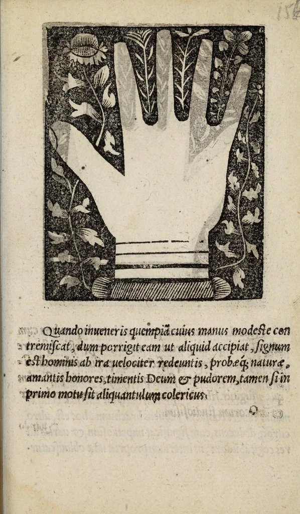 An illustration from Barptolomaei Coclitis bononiensis, naturalis philosophiae ac medicinae doctoris, Physiognomiae & chiromantiae compendium, 1533, leaf 237