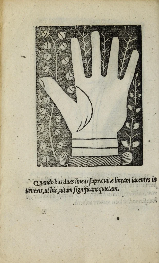 An illustration from Barptolomaei Coclitis bononiensis, naturalis philosophiae ac medicinae doctoris, Physiognomiae & chiromantiae compendium, 1533, leaf 94