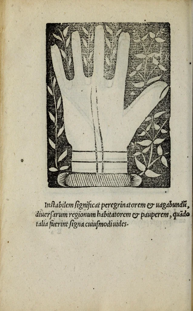 An illustration from Barptolomaei Coclitis bononiensis, naturalis philosophiae ac medicinae doctoris, Physiognomiae & chiromantiae compendium, 1533, leaf 96