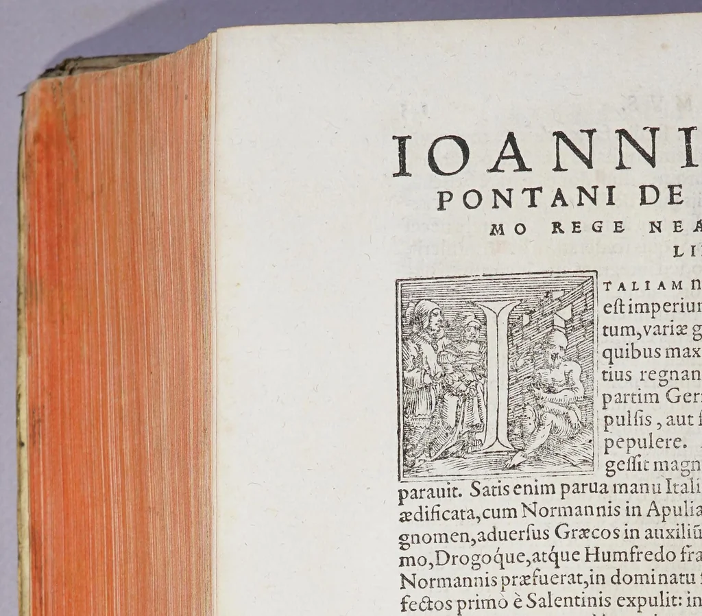 An illustration from Bartholomae Facii Rerum gestarum Alphonsi primi regis Neapolitani liber primus [-decimus.], 1566, leaf 150