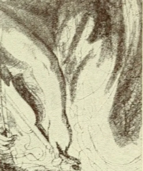 An illustration from Bartolozzi and his pupils in England : with an abridged list of his more important prints in line and stipple, 1903, leaf 58