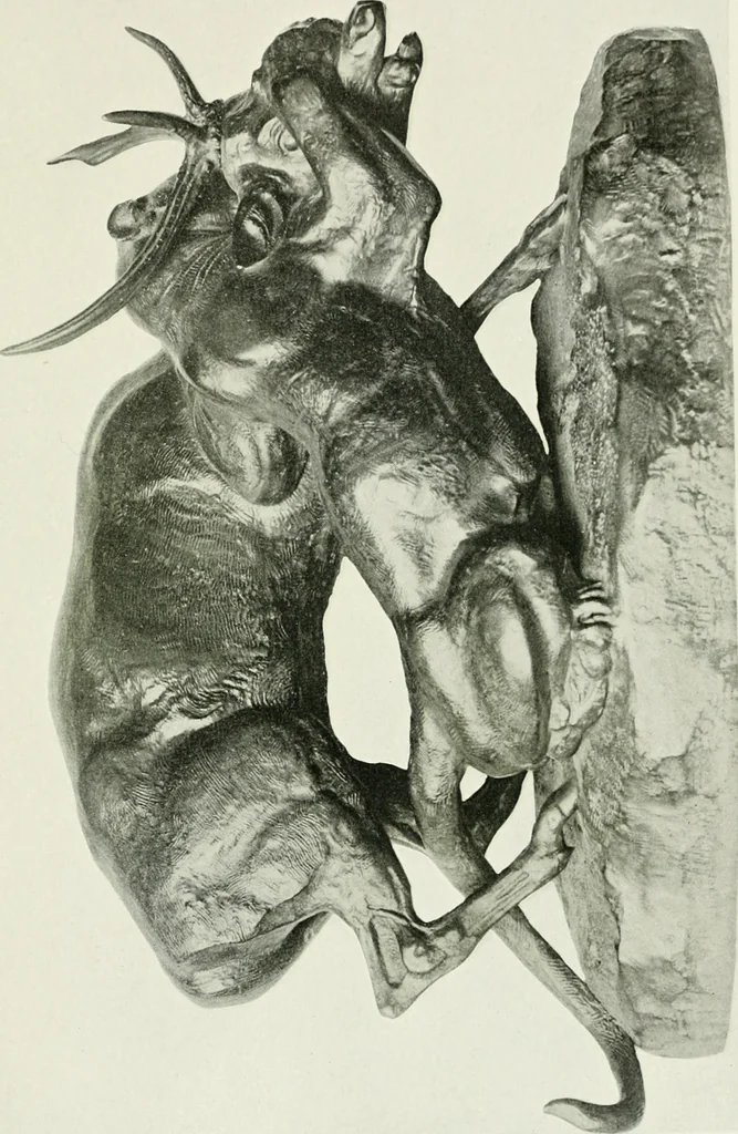 An illustration from Barye, 1904, leaf 12