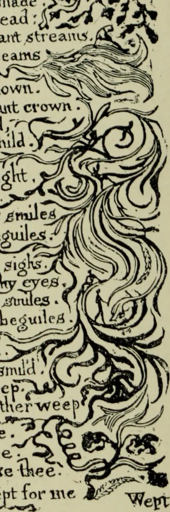 An illustration from The bases of design, 1902, leaf 141