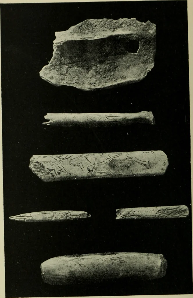 An illustration from The bases of design, 1902, leaf 281