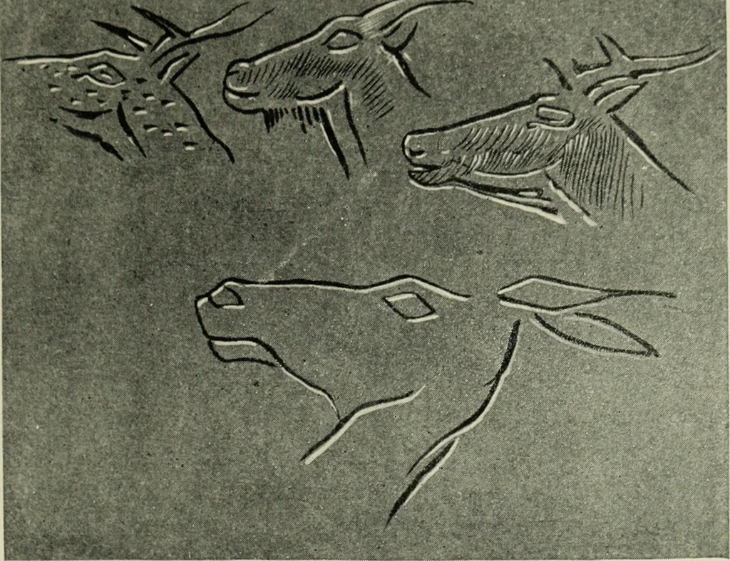 An illustration from The bases of design, 1902, leaf 282