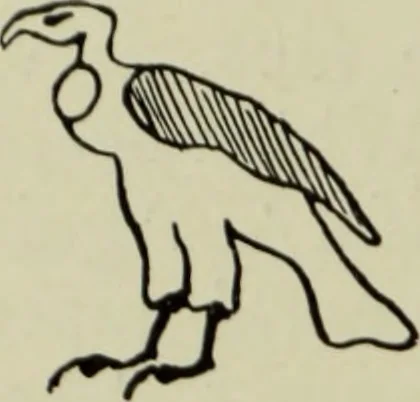 An illustration from The bases of design, 1902, leaf 285