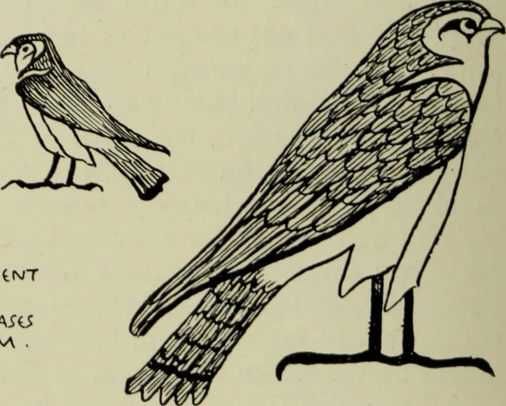 An illustration from The bases of design, 1902, leaf 285