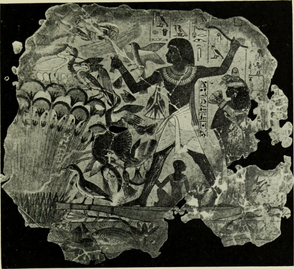 An illustration from The bases of design, 1902, leaf 286