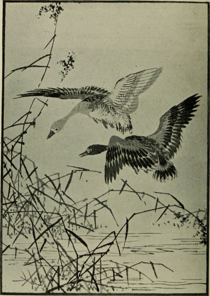 An illustration from The bases of design, 1902, leaf 287