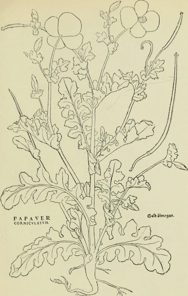 An illustration from The bases of design, 1902, leaf 308