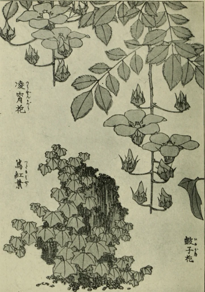 An illustration from The bases of design, 1902, leaf 309