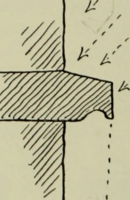 An illustration from The bases of design, 1902, leaf 81