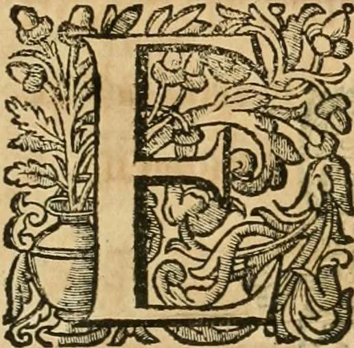 An illustration from Basilicae veteris vaticanae descriptio, 1646, leaf 14
