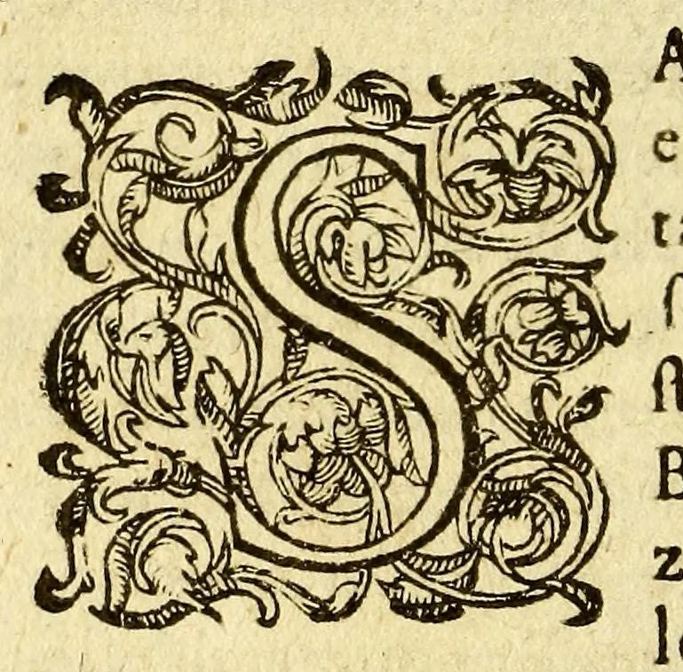 An illustration from Basilicon philactirion, : par lequel il se prouue apertement qu'il est necessaire, vtile & honorable à l'Eglise Catholique, qu'il y aye des religieux, & iceux de diuers ordres ..., 1585, leaf 250