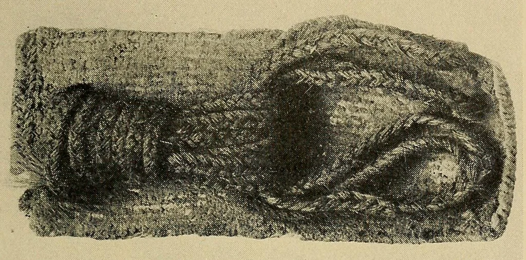 An illustration from A basket-maker cave in Kane County, Utah, 1922, leaf 129