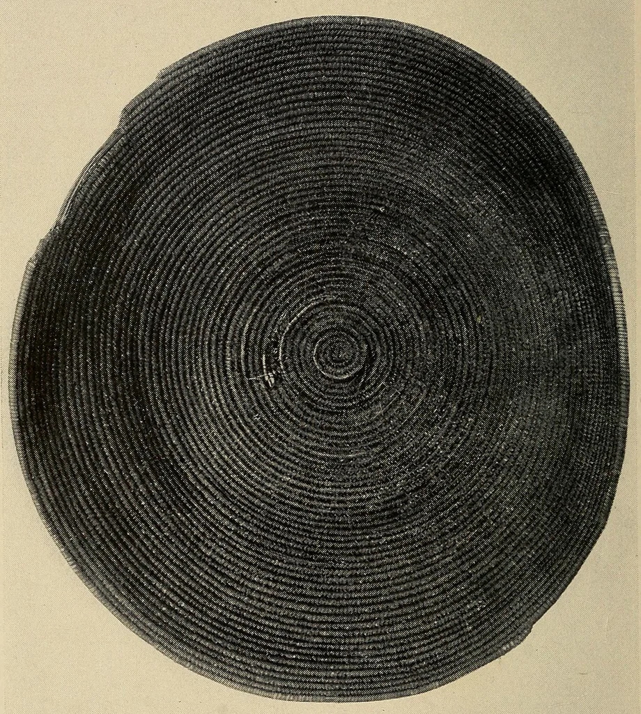 An illustration from A basket-maker cave in Kane County, Utah, 1922, leaf 150